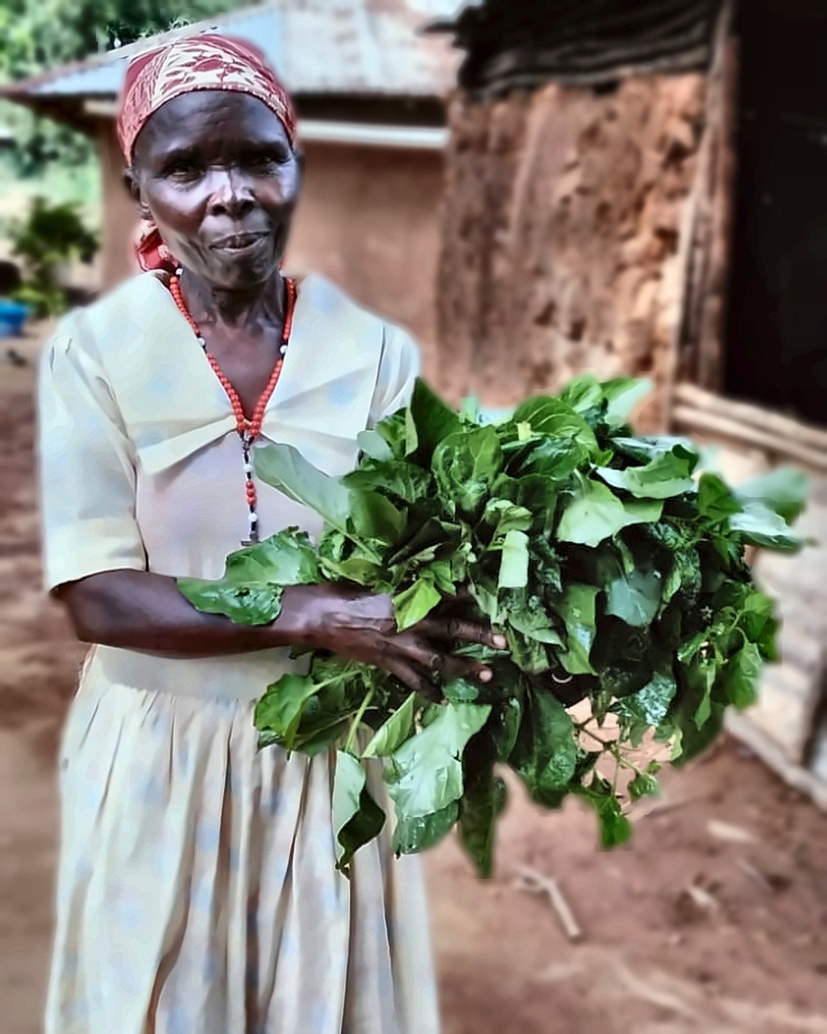 A Kenyan woman farmer holding freshly harvested leafy greens